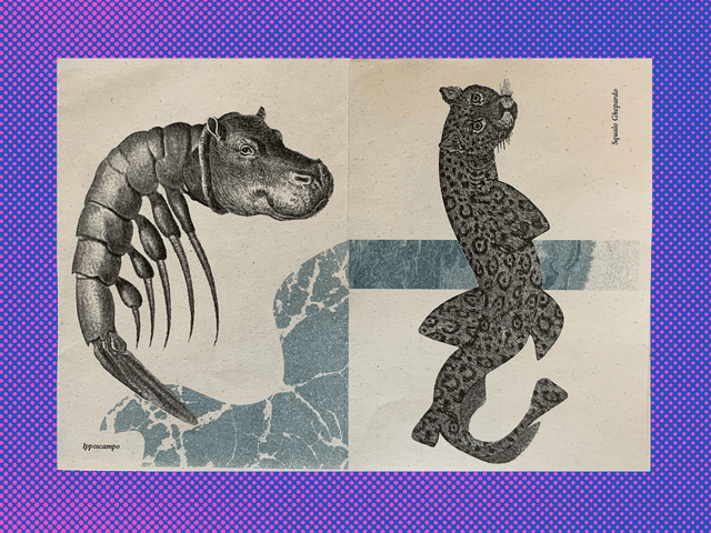 LO STRANO BESTIARIO vol. III