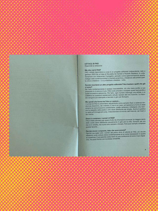 FAQ ZINE