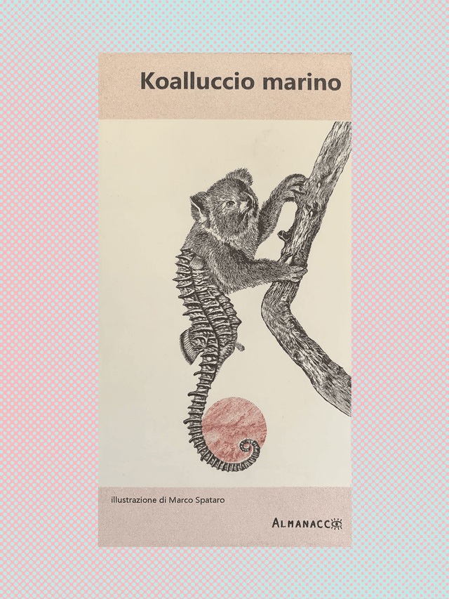 KOALLUCCIO MARINO